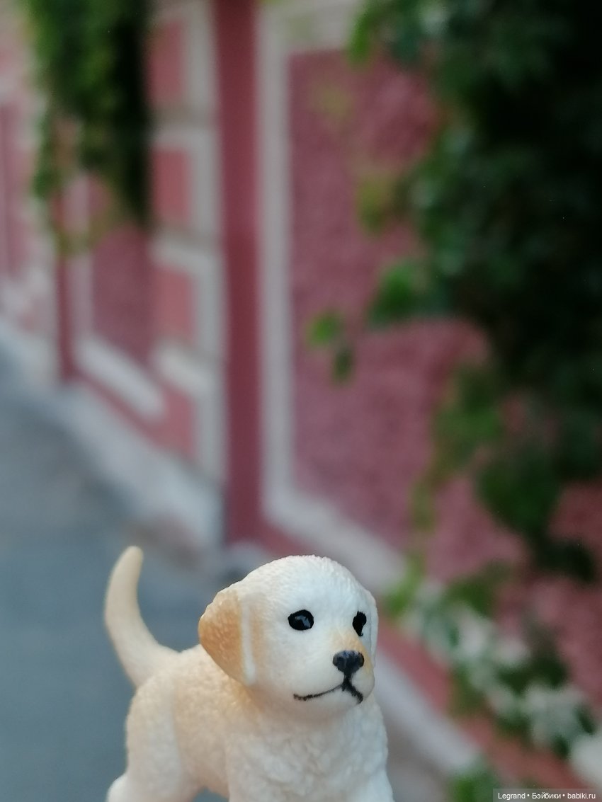 Санкт-Петербург: особняк И.К. Мясникова и немного Нектарина