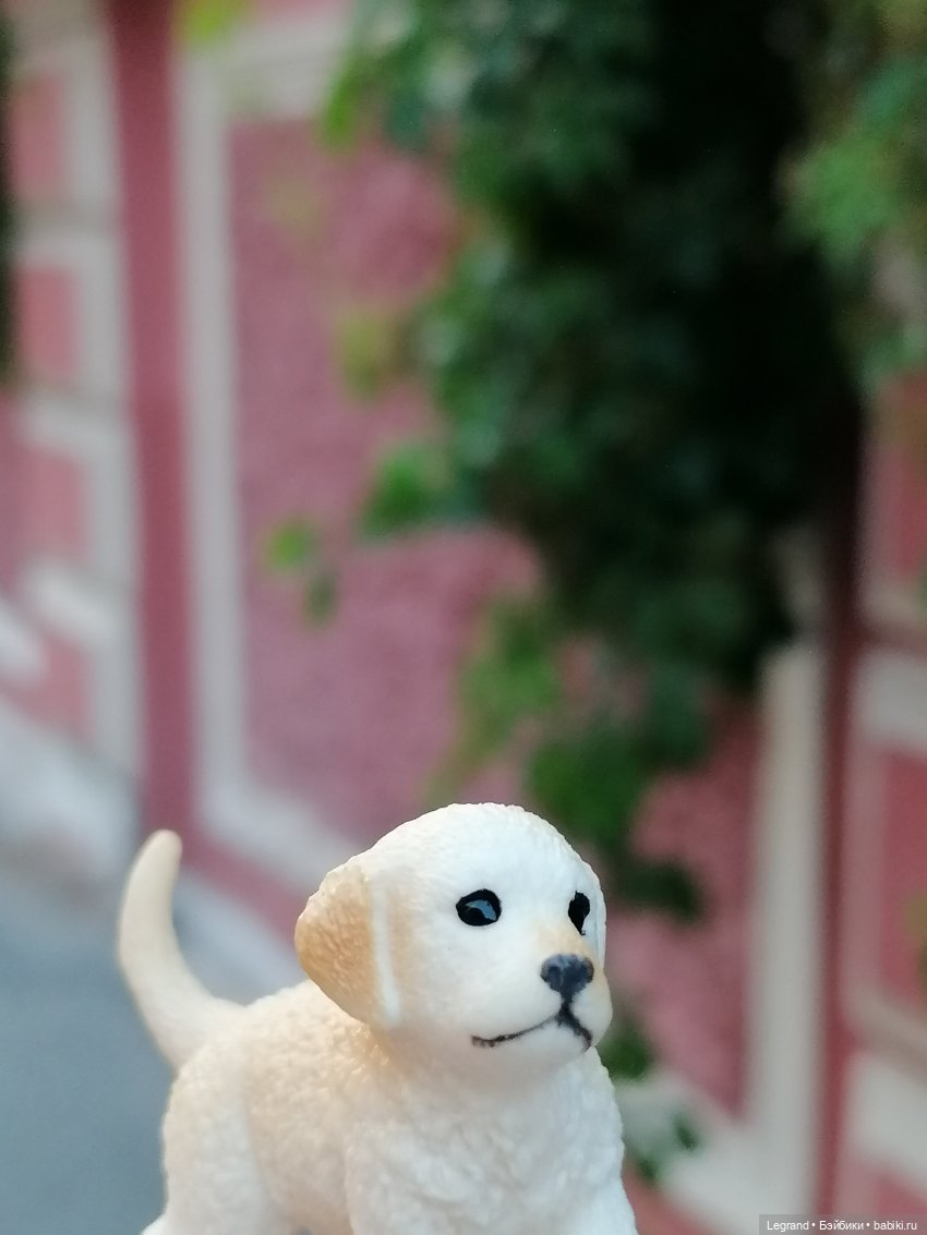 Санкт-Петербург: особняк И.К. Мясникова и немного Нектарина (фото 2)