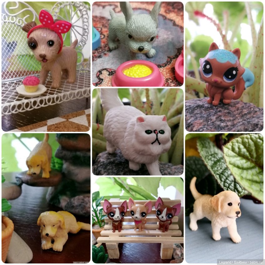 Лурения: "вкусные" имена наших питомцев🍰🍇