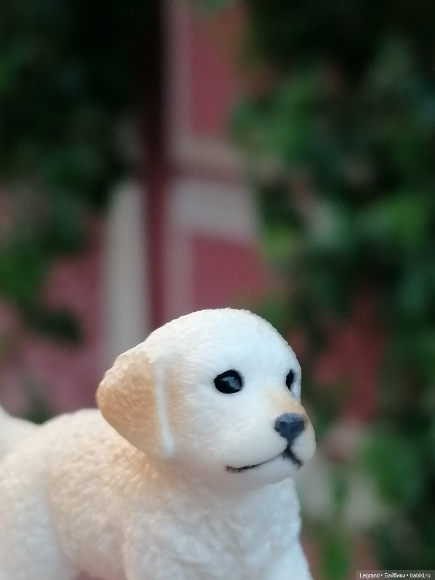 Санкт-Петербург: особняк И.К. Мясникова и немного Нектарина