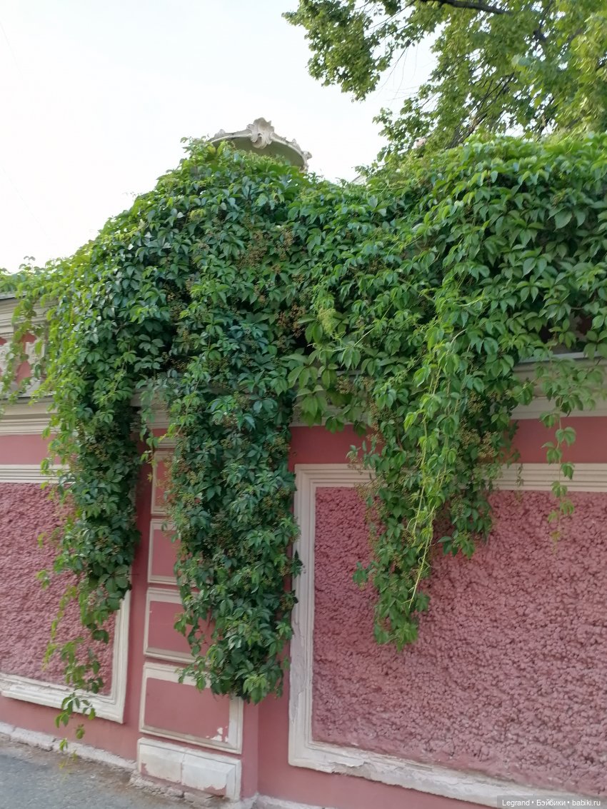 Санкт-Петербург: особняк И.К. Мясникова и немного Нектарина