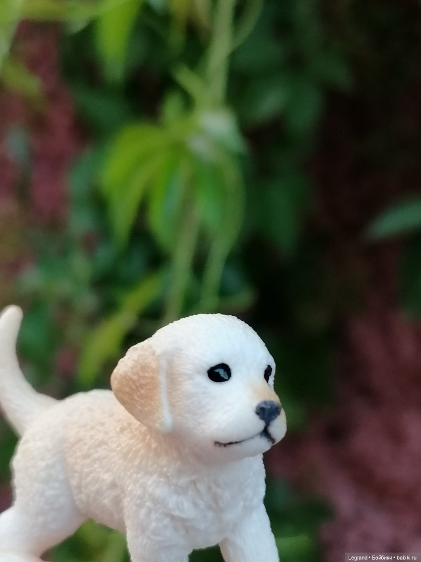 Санкт-Петербург: особняк И.К. Мясникова и немного Нектарина