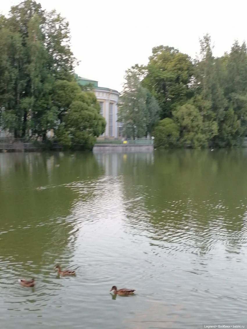 Санкт-Петербург: розы и утки в Таврическом саду