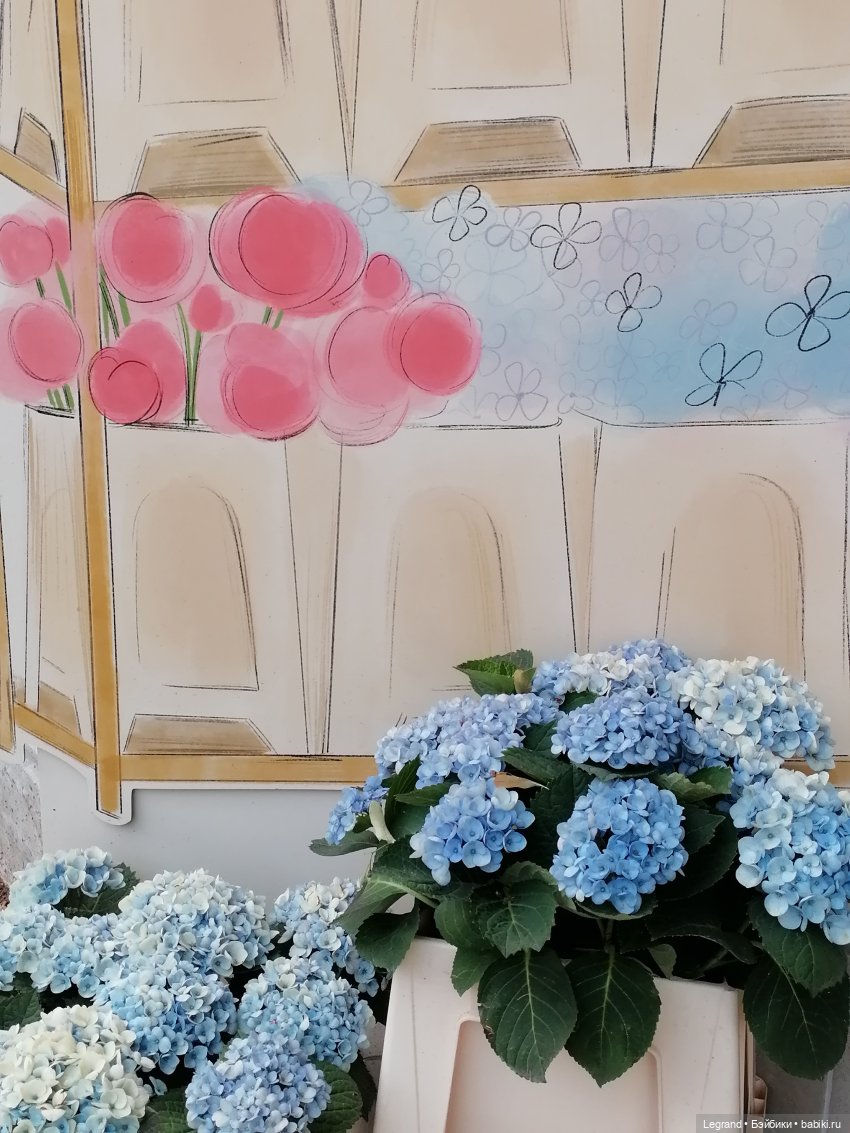 Санкт-Петербург: прогулка с Нектарином - Сад дружбы на Литейном (фото 3)