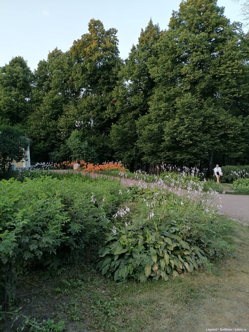 Санкт-Петербург: розы и утки в Таврическом саду (фото 7)