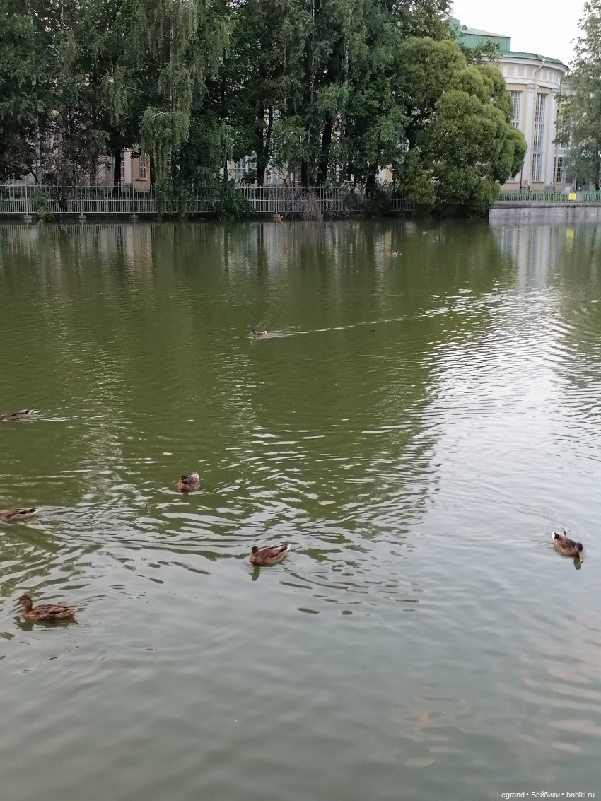 Санкт-Петербург: розы и утки в Таврическом саду
