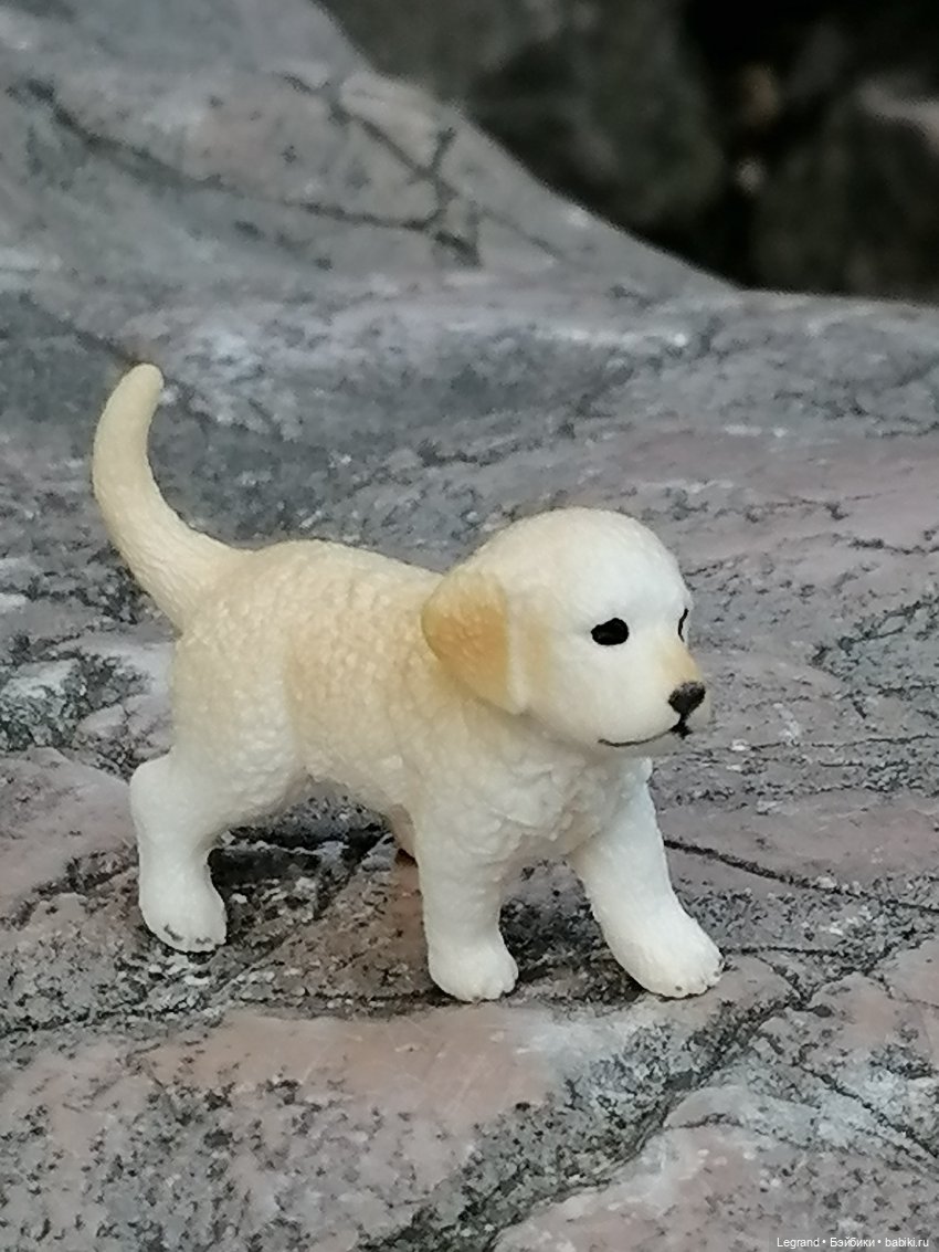 Санкт-Петербург: прогулка с Нектарином - Сад дружбы на Литейном