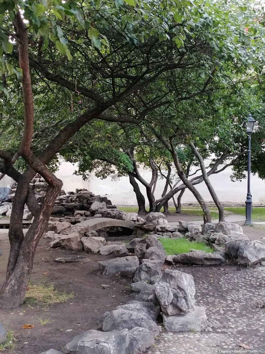 Санкт-Петербург: прогулка с Нектарином - Сад дружбы на Литейном (фото 9)