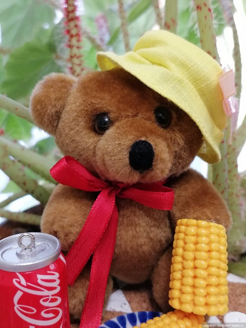 Санкт-Петербург: Мишель и фонтаны в Парадном (фото 3)