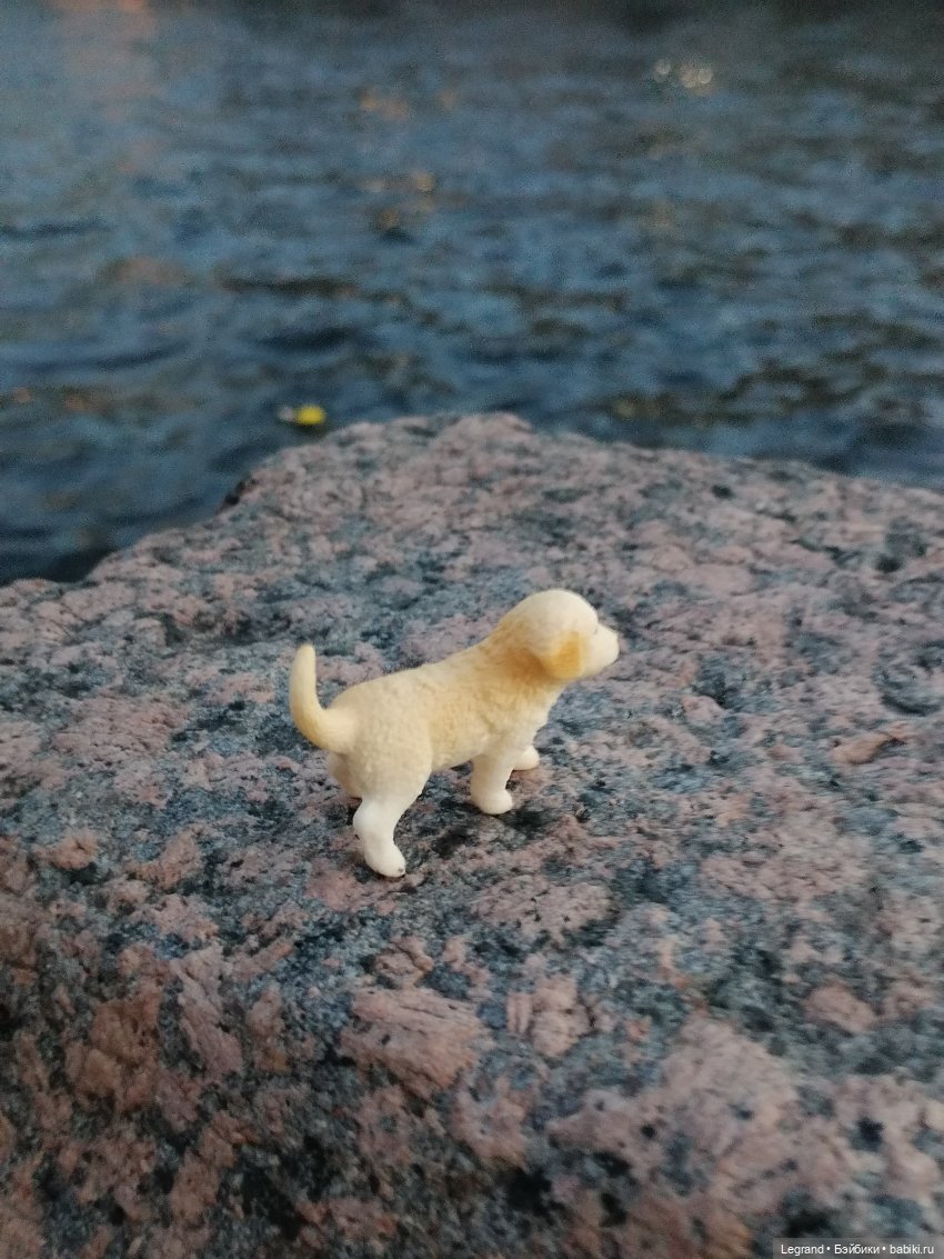 Санкт-Петербург: прогулка с Нектарином - Фонтанка и не только