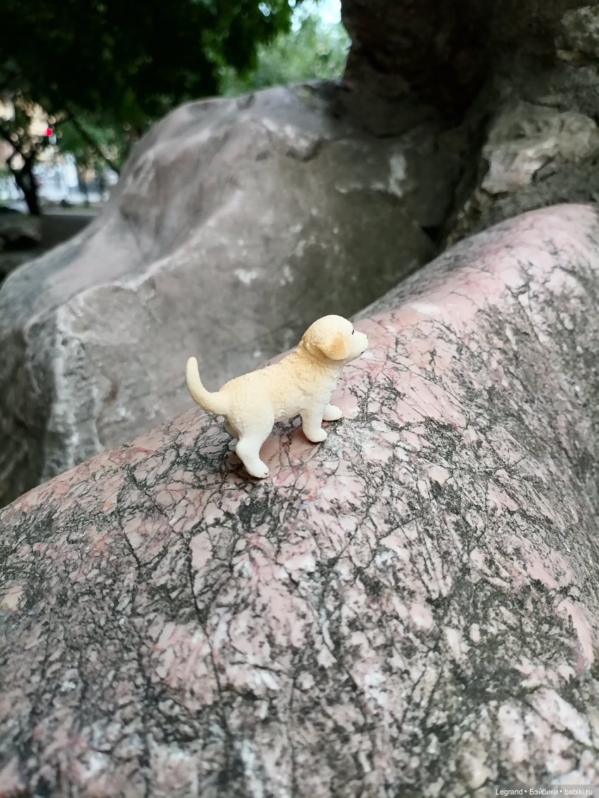 Санкт-Петербург: прогулка с Нектарином - Сад дружбы на Литейном