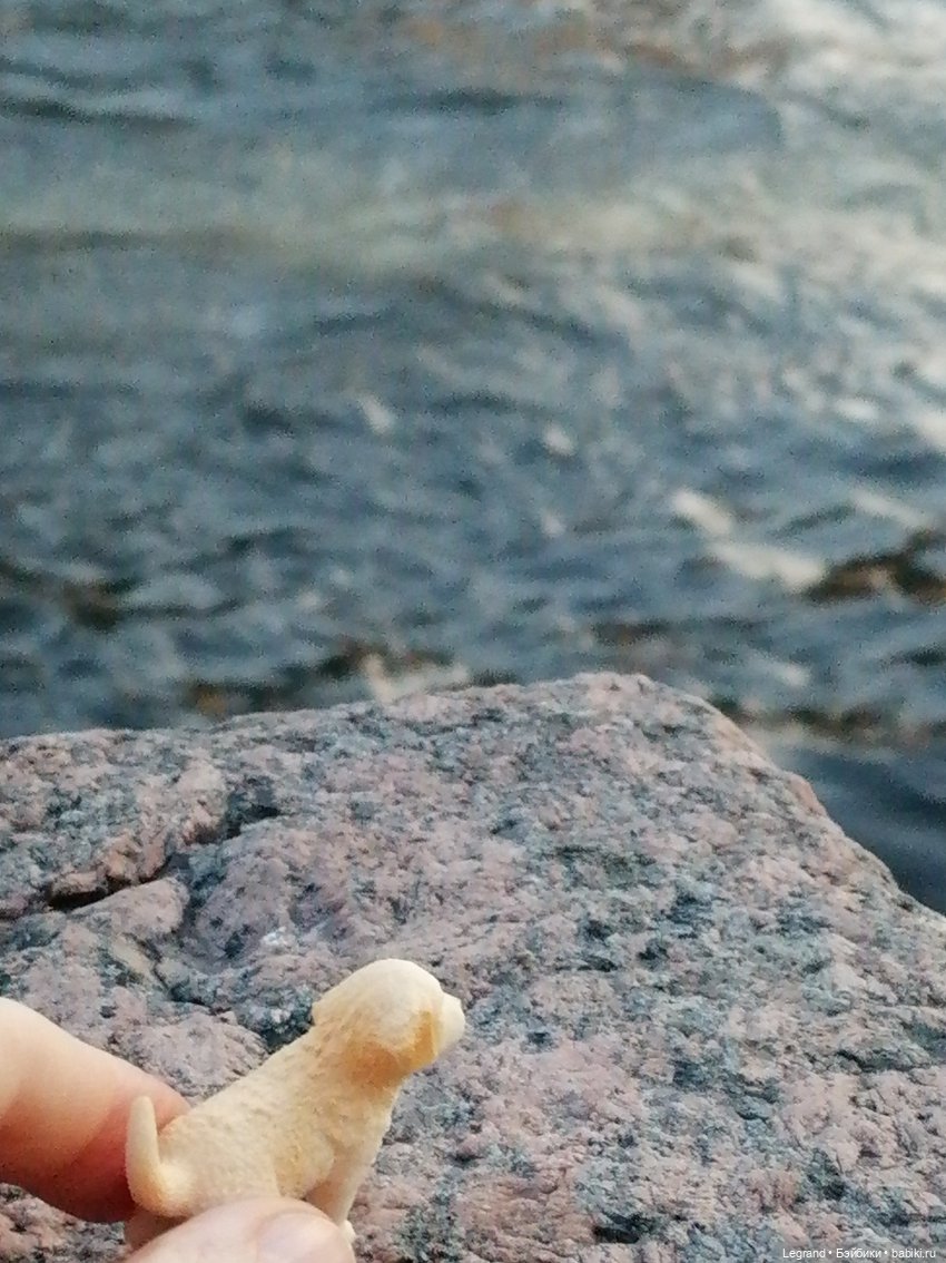 Санкт-Петербург: прогулка с Нектарином - Фонтанка и не только