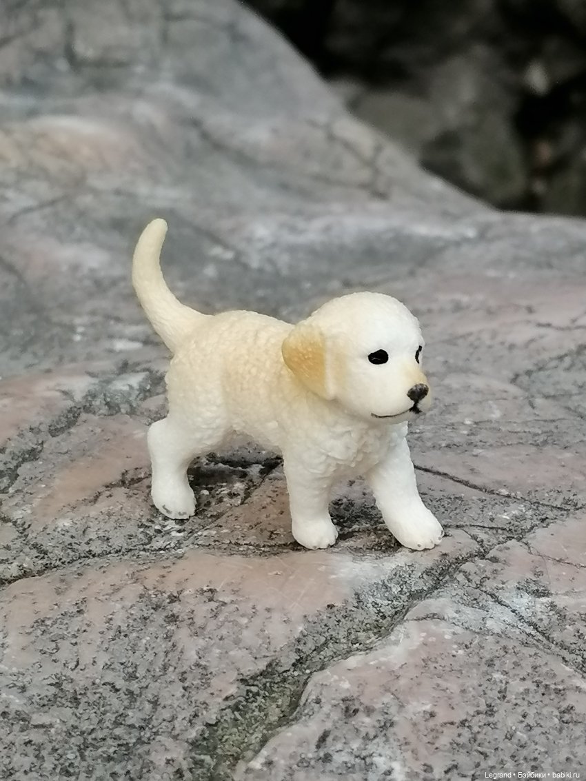 Санкт-Петербург: прогулка с Нектарином - Сад дружбы на Литейном