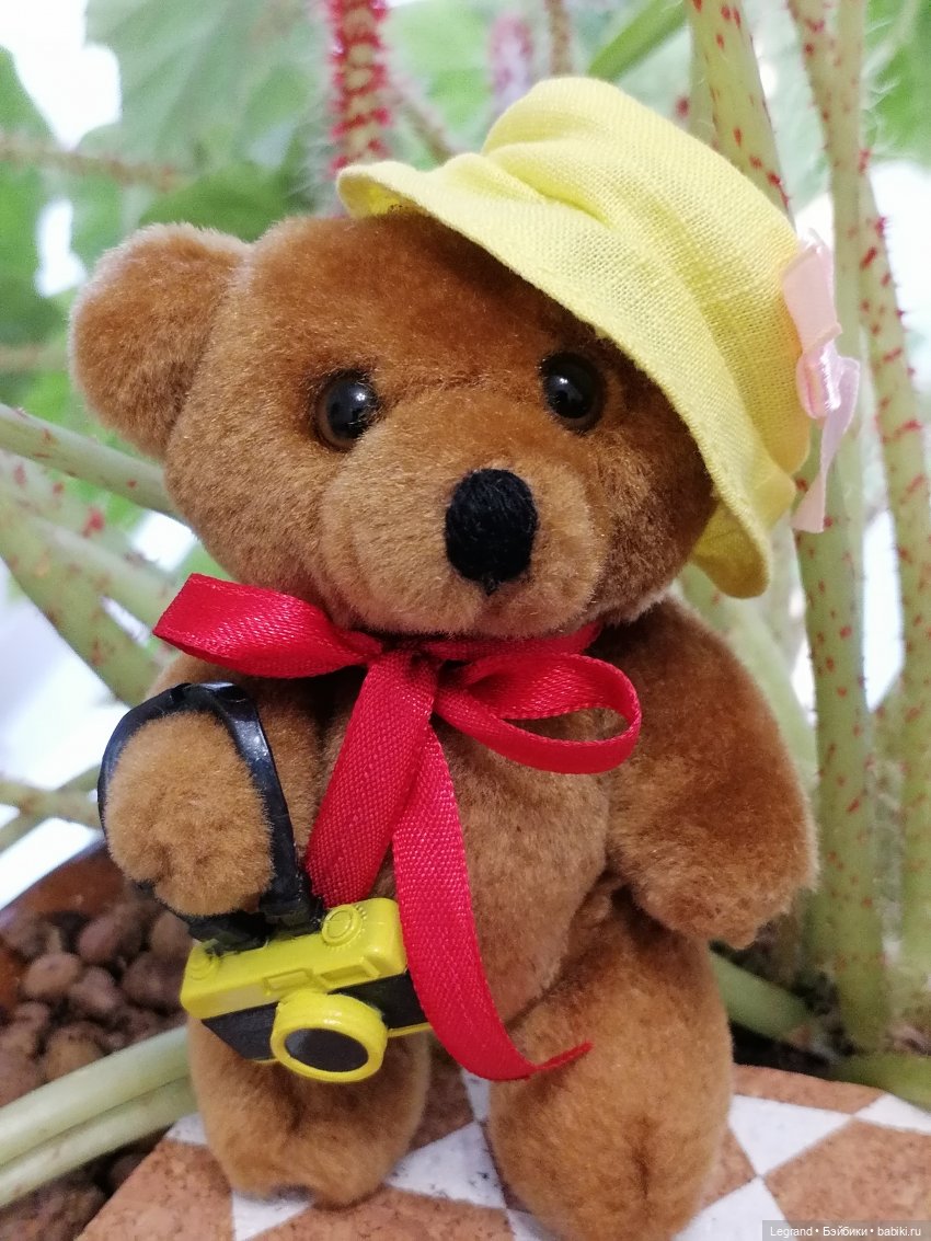 Санкт-Петербург: Мишель и фонтаны в Парадном (фото 6)