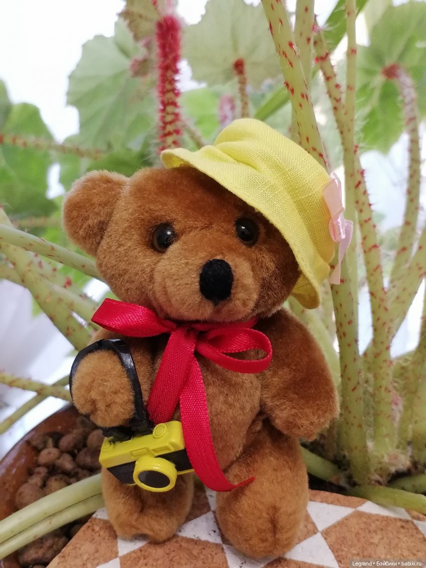 Санкт-Петербург: Мишель и фонтаны в Парадном (фото 4)