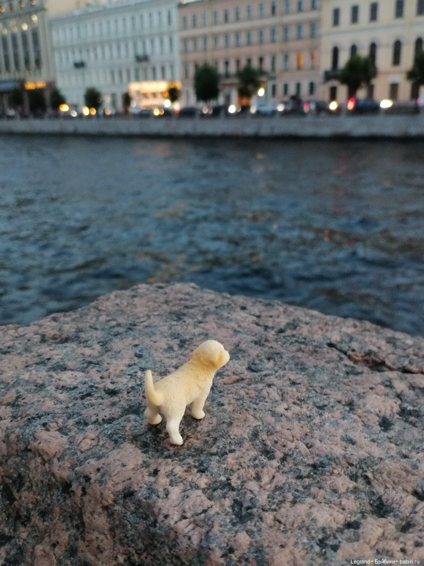 Санкт-Петербург: прогулка с Нектарином - Фонтанка и не только