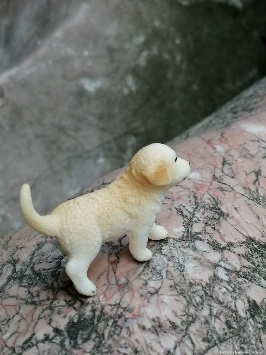 Санкт-Петербург: прогулка с Нектарином - Сад дружбы на Литейном