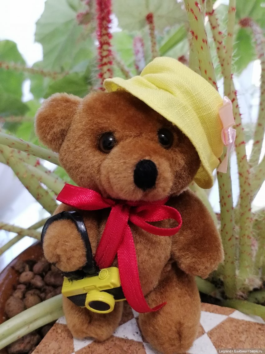 Санкт-Петербург: Мишель и фонтаны в Парадном (фото 5)