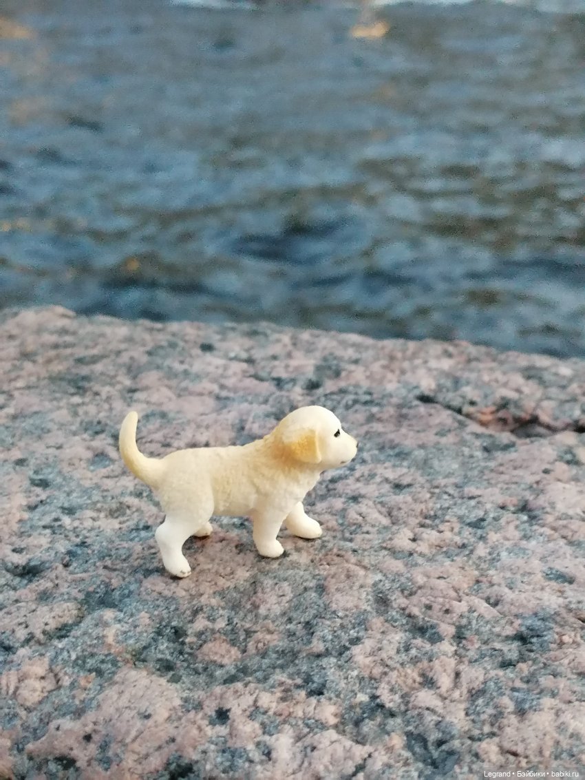 Санкт-Петербург: прогулка с Нектарином - Фонтанка и не только