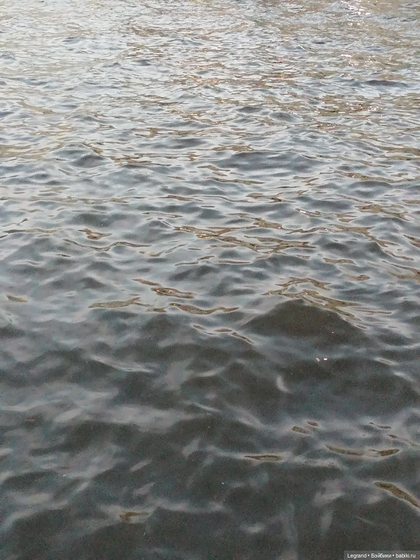 Санкт-Петербург: прогулка с Нектарином - Фонтанка и не только (фото 4)