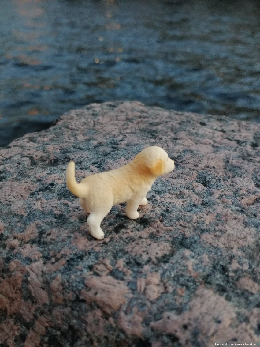 Санкт-Петербург: прогулка с Нектарином - Фонтанка и не только