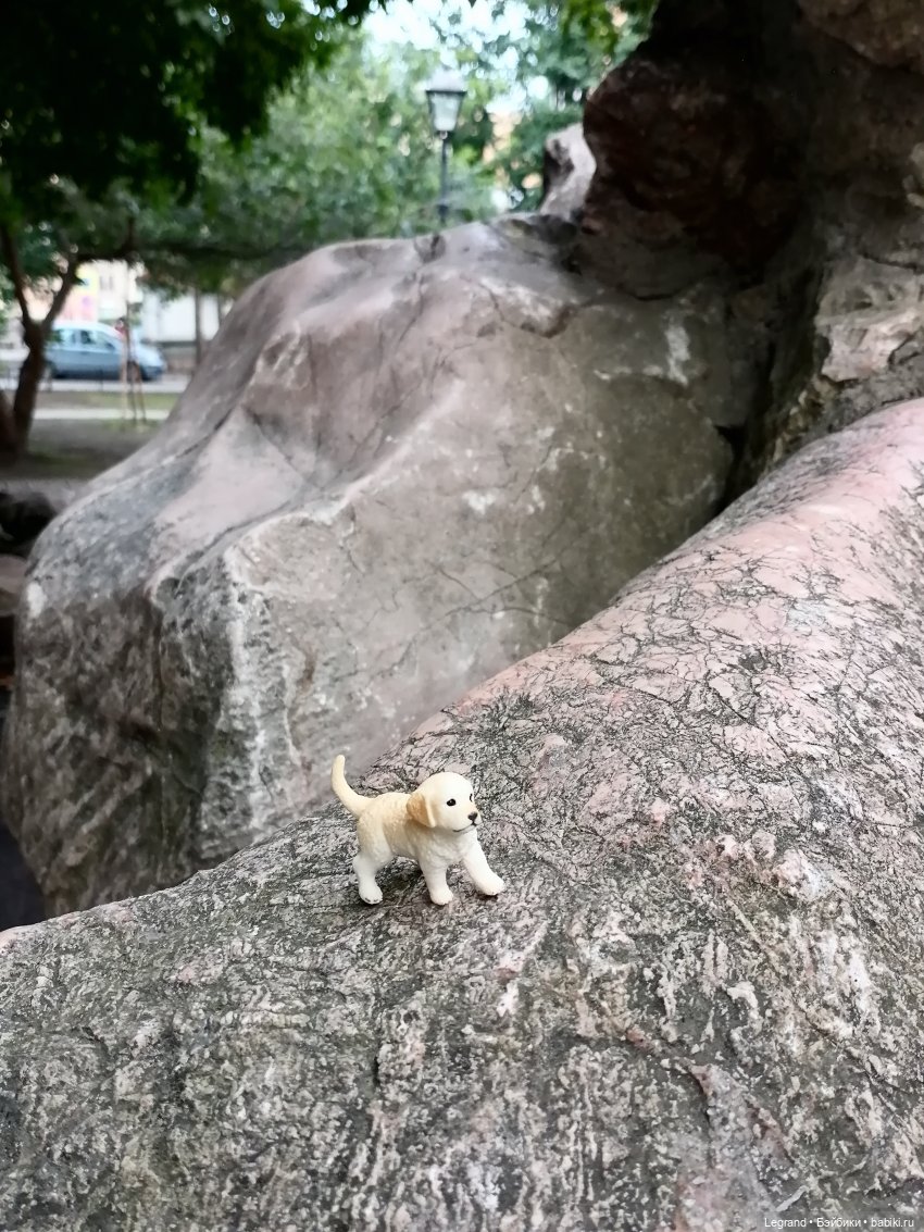 Санкт-Петербург: прогулка с Нектарином - Сад дружбы на Литейном