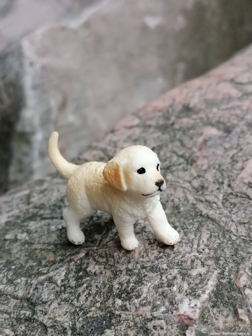 Санкт-Петербург: прогулка с Нектарином - Сад дружбы на Литейном