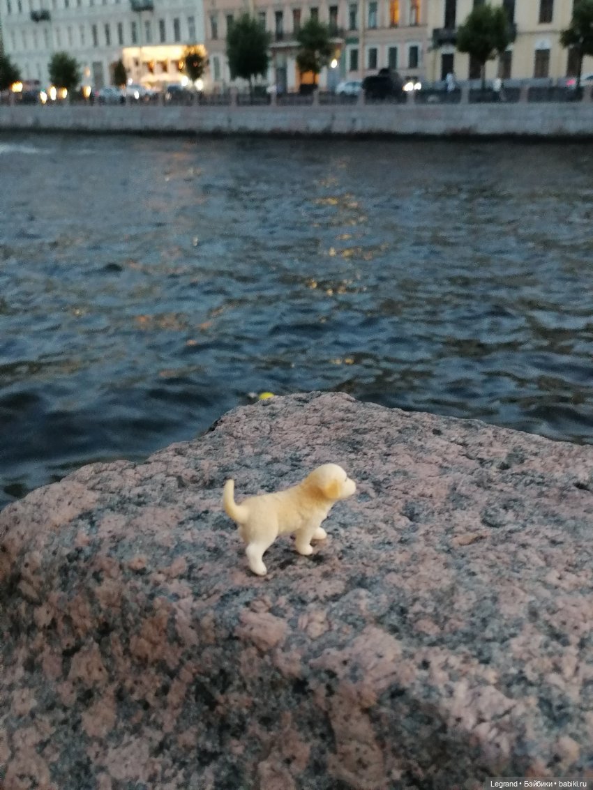Санкт-Петербург: прогулка с Нектарином - Фонтанка и не только