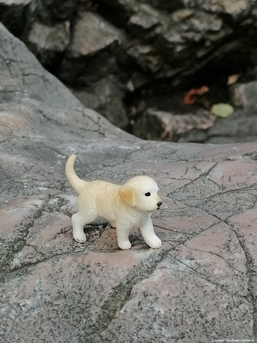 Санкт-Петербург: прогулка с Нектарином - Сад дружбы на Литейном