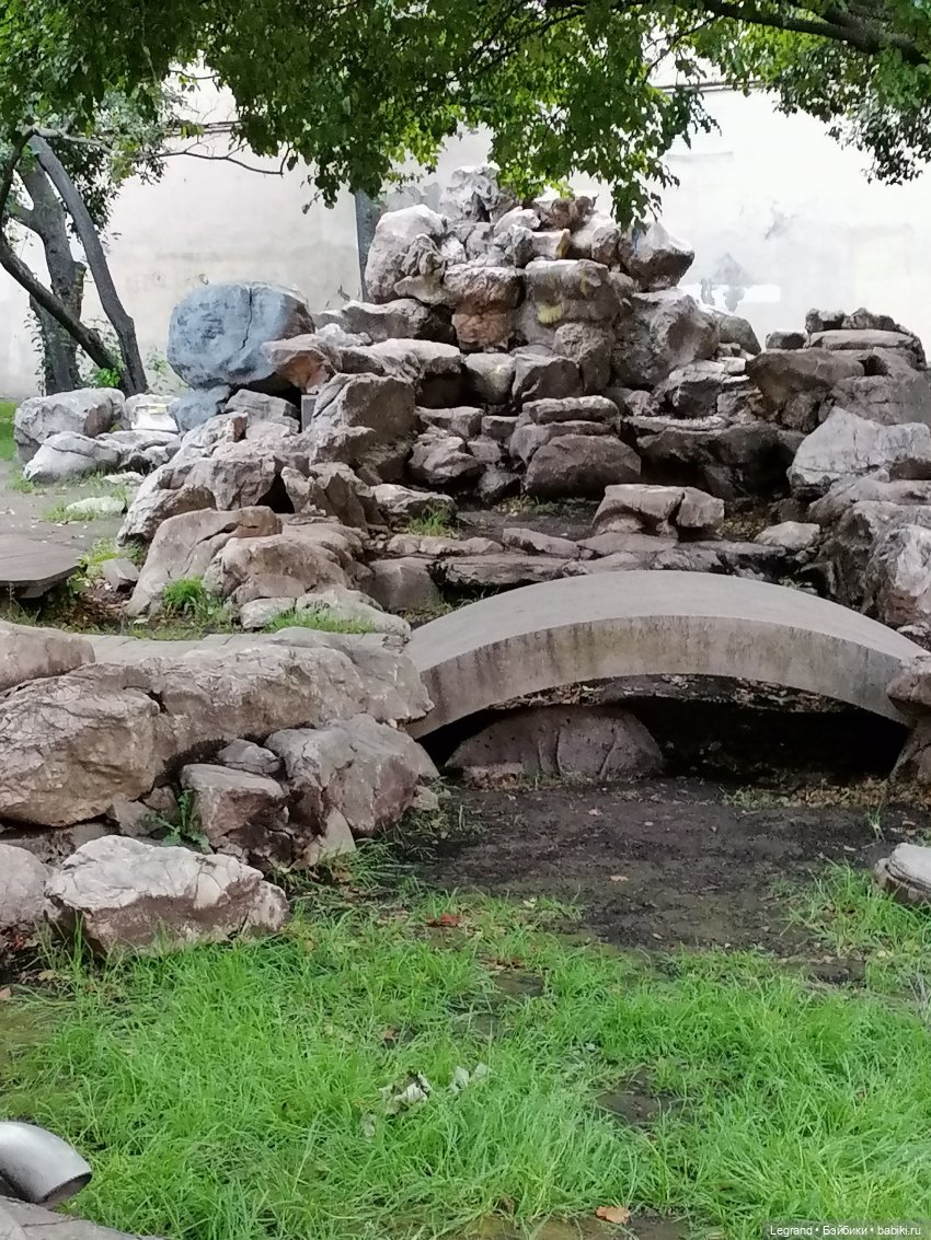 Санкт-Петербург: прогулка с Нектарином - Сад дружбы на Литейном