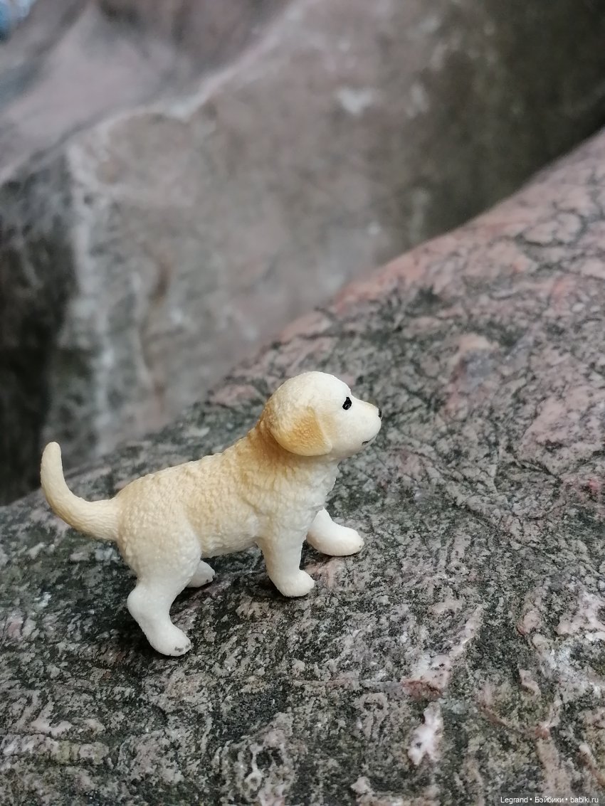 Санкт-Петербург: прогулка с Нектарином - Сад дружбы на Литейном