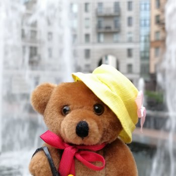 Санкт-Петербург: Мишель и фонтаны в Парадном