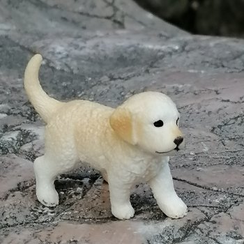 Санкт-Петербург: прогулка с Нектарином - Сад дружбы на Литейном