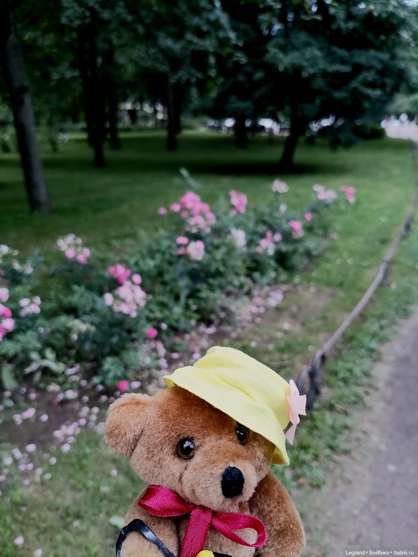 Санкт-Петербург: Мишель в Таврическом саду - розы (фото 4)