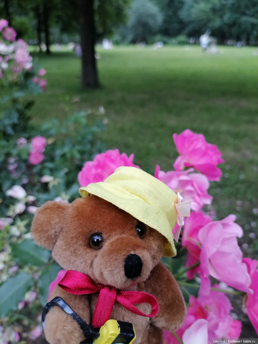 Санкт-Петербург: Мишель в Таврическом саду - розы