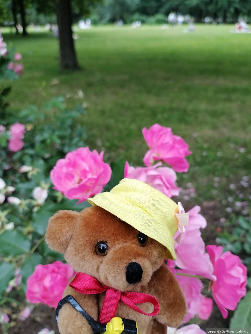 Санкт-Петербург: Мишель в Таврическом саду - розы (фото 7)