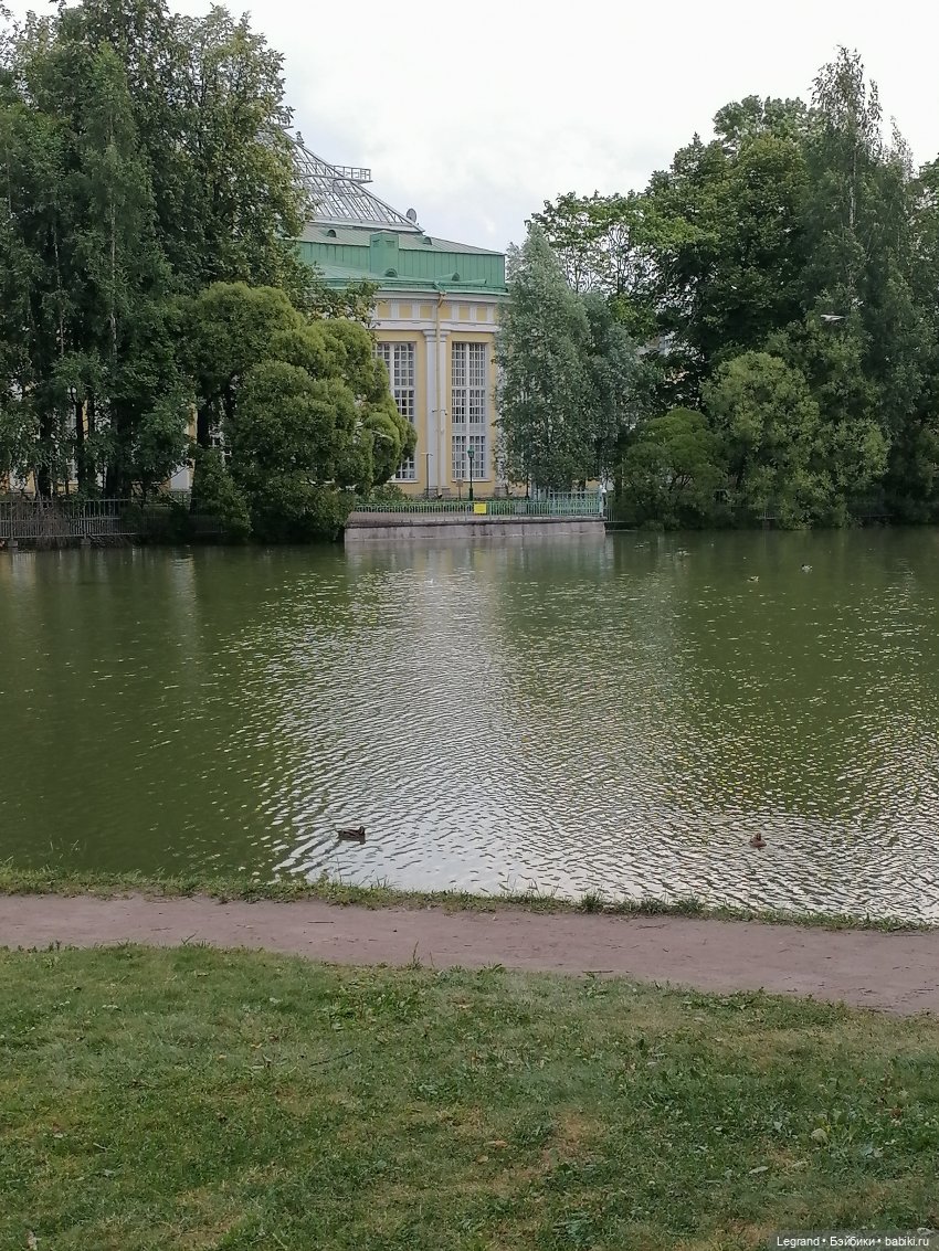 Санкт-Петербург: Мишель в Таврическом саду - пруд