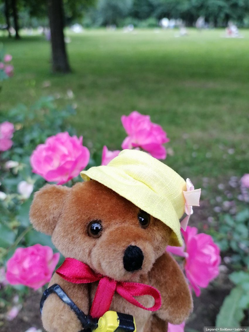 Санкт-Петербург: Мишель в Таврическом саду - розы (фото 9)