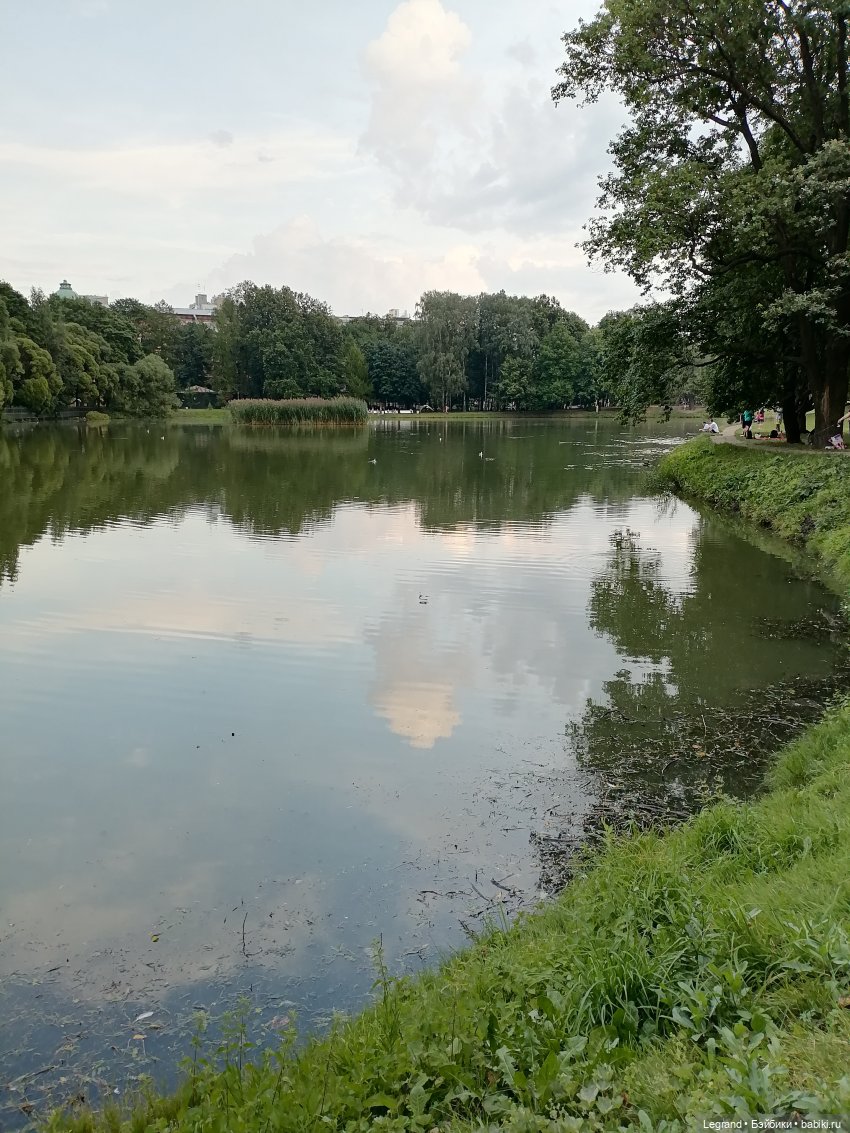 Санкт-Петербург: Мишель в Таврическом саду - пруд