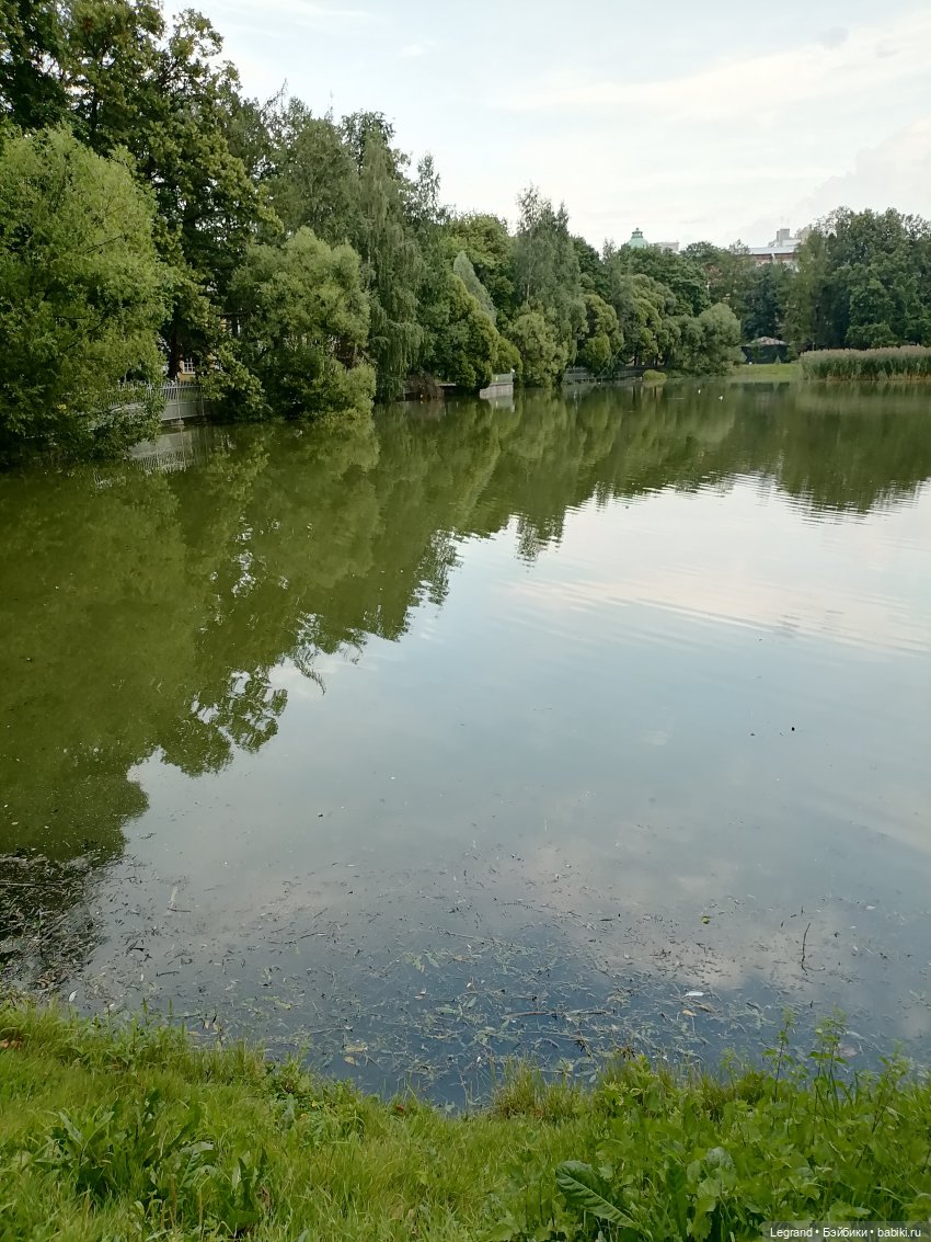 Санкт-Петербург: Мишель в Таврическом саду - пруд
