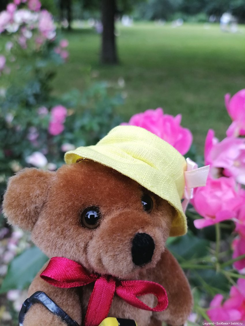 Санкт-Петербург: Мишель в Таврическом саду - розы