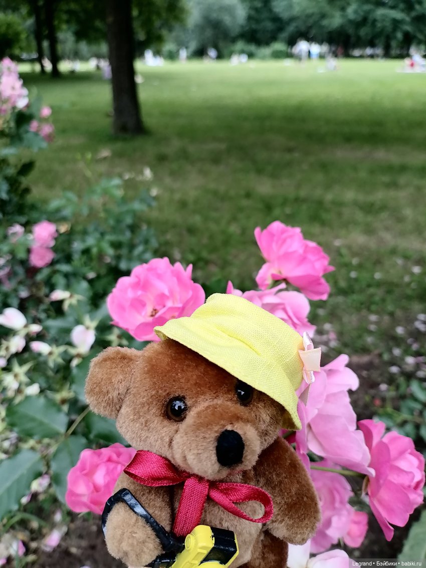 Санкт-Петербург: Мишель в Таврическом саду - розы (фото 8)