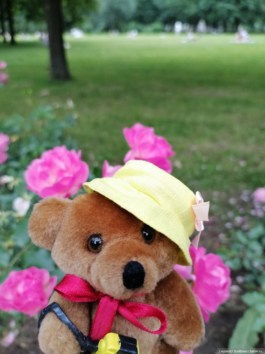 Санкт-Петербург: Мишель в Таврическом саду - розы (фото 10)