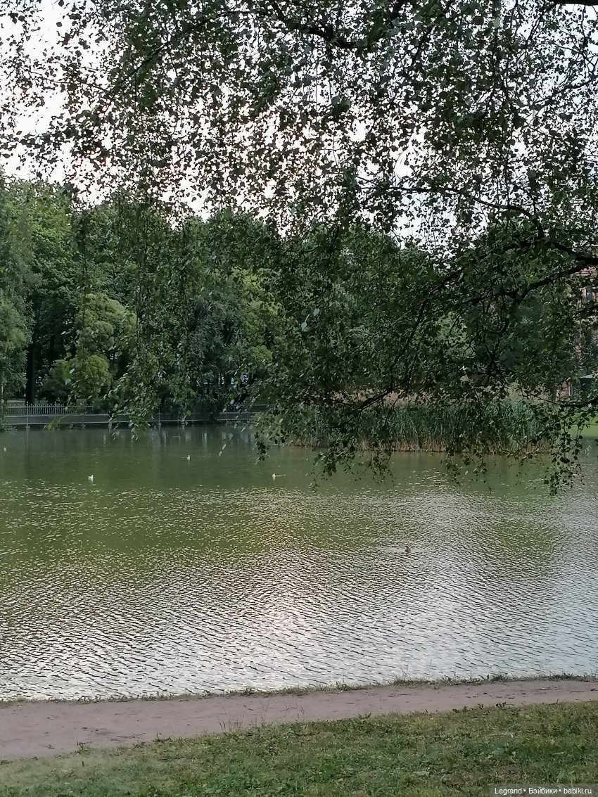 Санкт-Петербург: Мишель в Таврическом саду - пруд