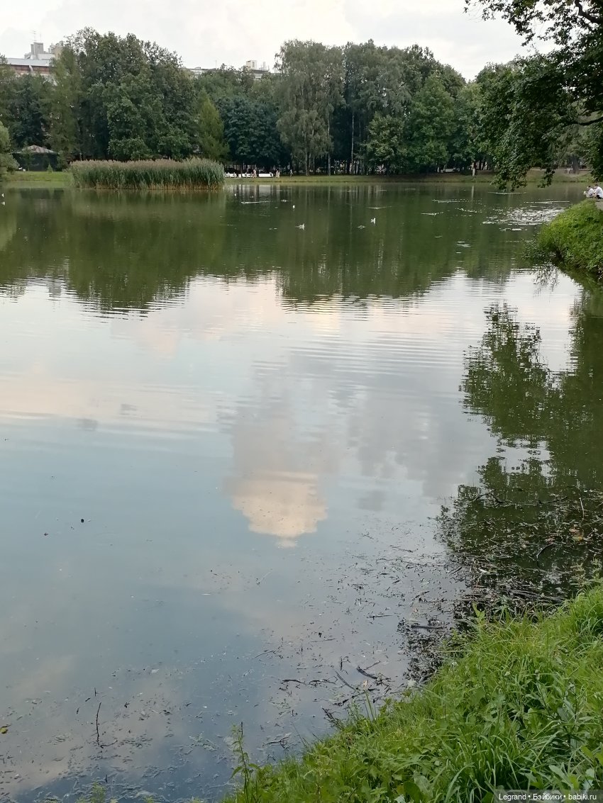 Санкт-Петербург: Мишель в Таврическом саду - пруд
