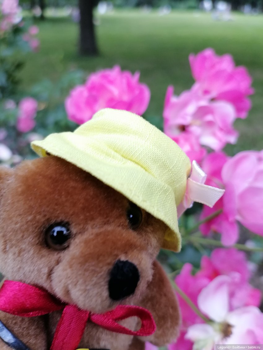 Санкт-Петербург: Мишель в Таврическом саду - розы