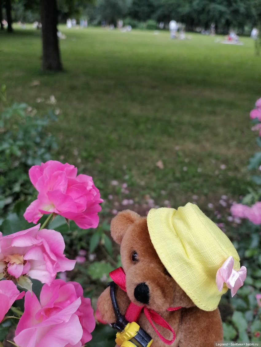 Санкт-Петербург: Мишель в Таврическом саду - розы