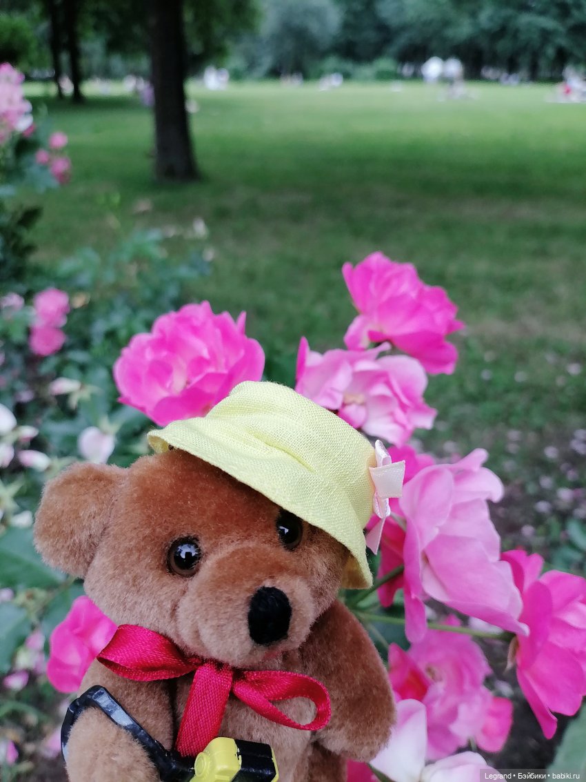 Санкт-Петербург: Мишель в Таврическом саду - розы