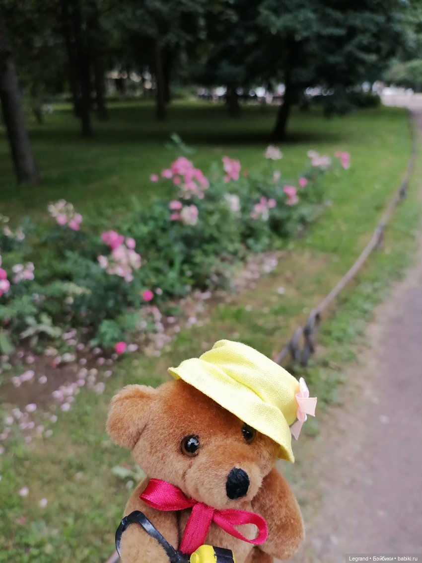 Санкт-Петербург: Мишель в Таврическом саду - розы (фото 3)