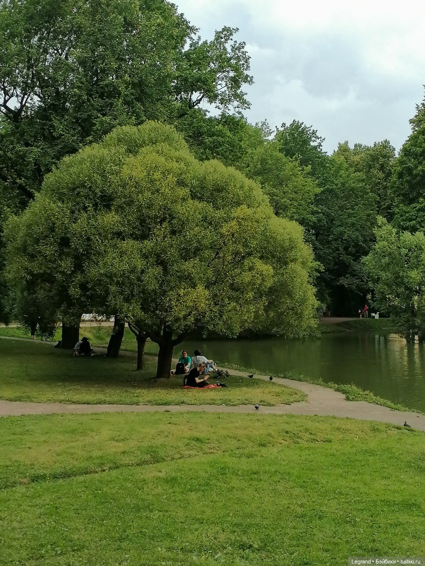 Санкт-Петербург: Мишель в Таврическом саду - пруд